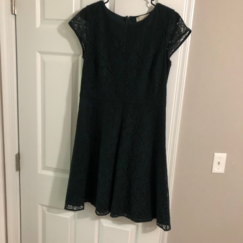 Loft lace dress